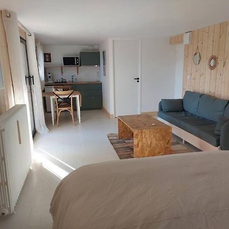 Studio Chez Suzanne Saint-Jorioz Eksteriør billede