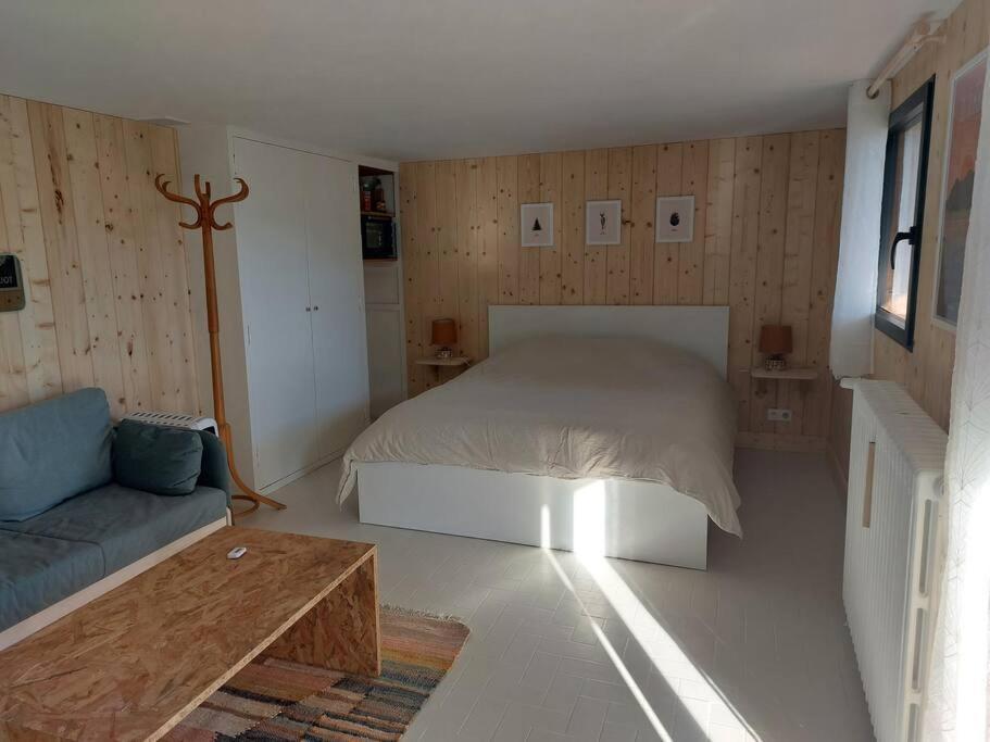 Studio Chez Suzanne Saint-Jorioz Eksteriør billede